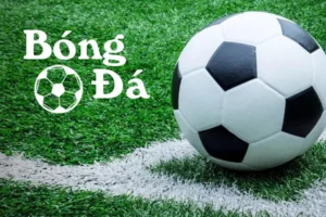 Phân Tích Luật Quy Định Về Bóng Trong Cuộc Và Bóng Ngoài Cuộc