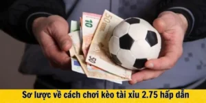 Phân Tích Kèo 2.75 Tại NowGoal Chi Tiết Giúp Người Chơi Kiếm Tiền Hiệu Quả
