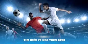 Bí Quyết Thắng Lớn Với Kèo Trên Kèo Dưới Tại NowGoal Cho Người Mới
