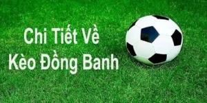 Tại Sao Kèo Đồng Banh Tại NowGoal Luôn Thu Hút Nhiều Người Chơi Tham Gia