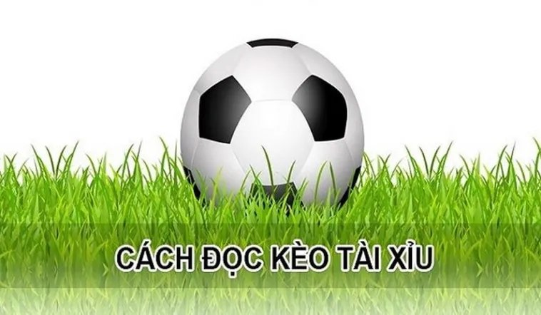 Bí Quyết Chiến Thắng Kèo Tài Xỉu Hiệp 1 Tại NowGoal Cho Người Mới Bắt Đầu