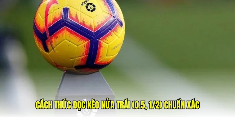 Phân Tích Kèo Chấp 0.5 Tại NowGoal Và Cách Đặt Cược Thông Minh Nhất Hiện Nay