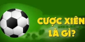 Bí Quyết Đánh Kèo Xiên Trong Bóng Đá Tại NowGoal Thu Về Lợi Nhuận Khổng Lồ