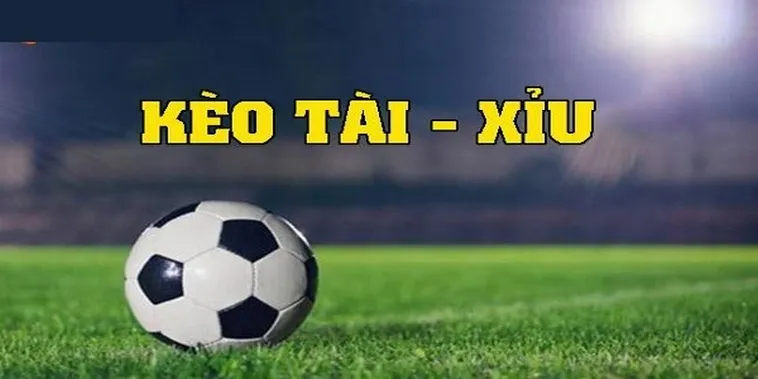 Nhận được các gợi ý về những trận đấu có khả năng nổ tài cao để tối ưu hóa lợi nhuận.